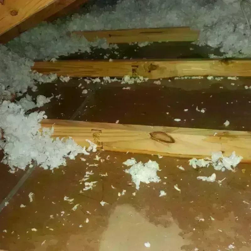 Attic Water Damage in Berkley, MI