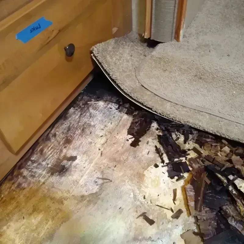 Best Wood Floor Water Damage Service in Berkley, MI